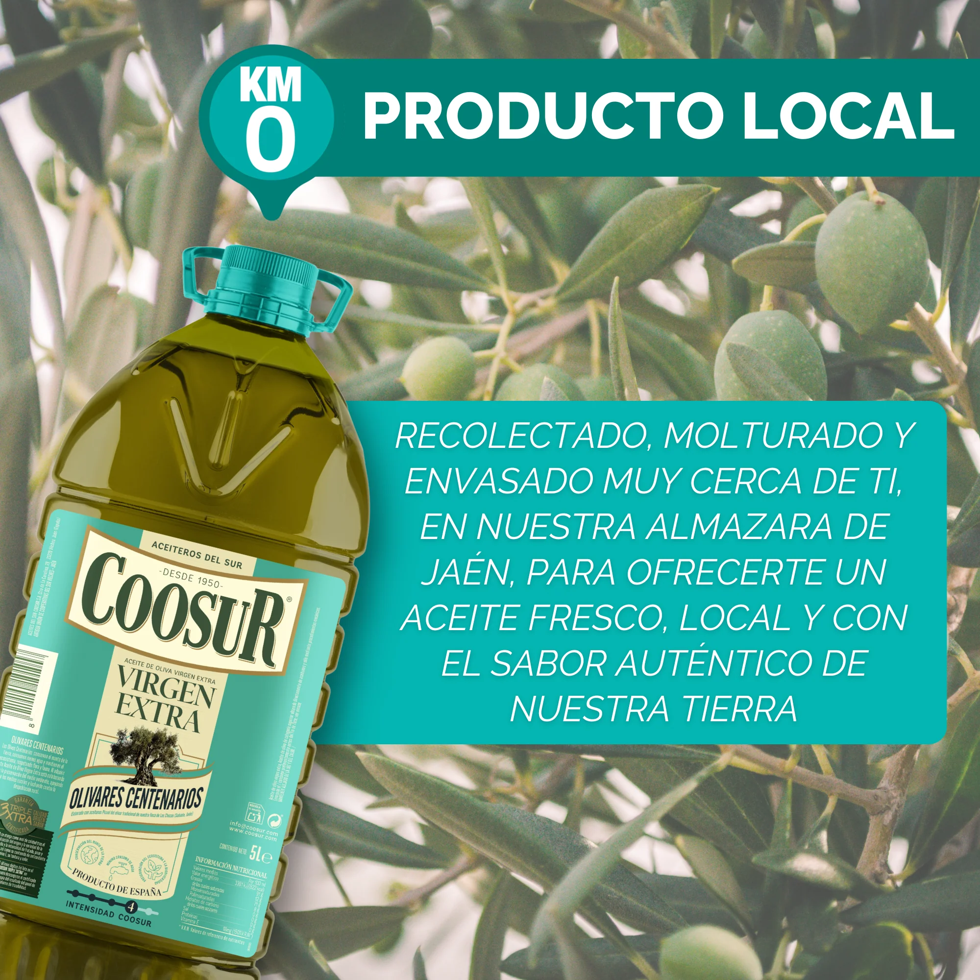 Aceite de oliva virgen extra Coosur 5L Olivares Centenarios - Image 6